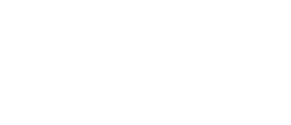 Fortescue Metals Logo