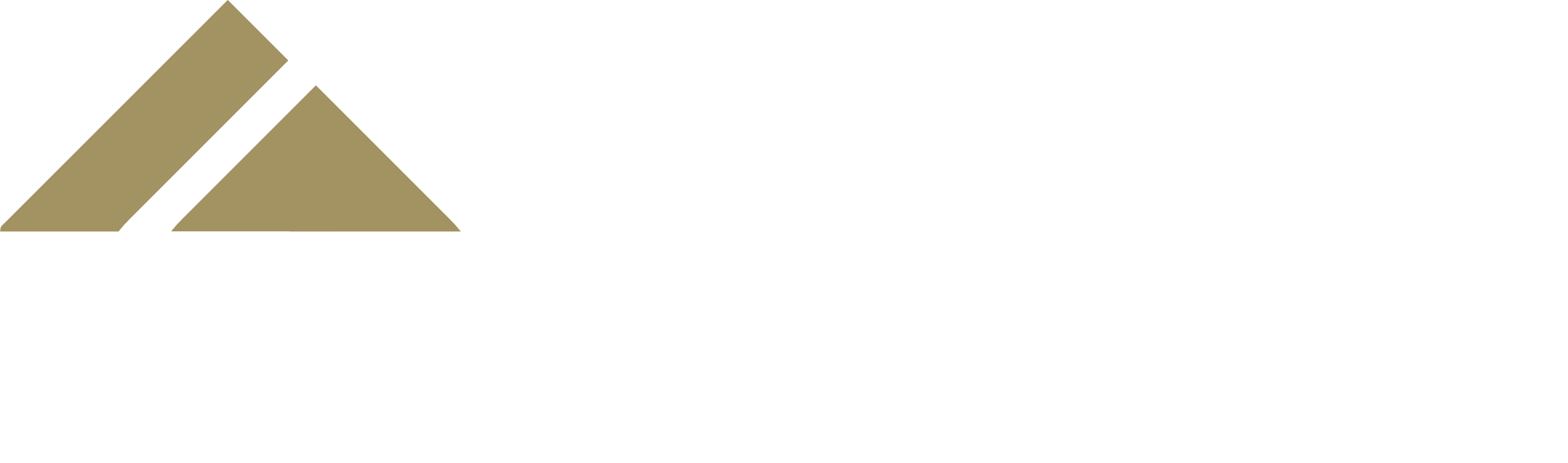 Genesis logo reversed